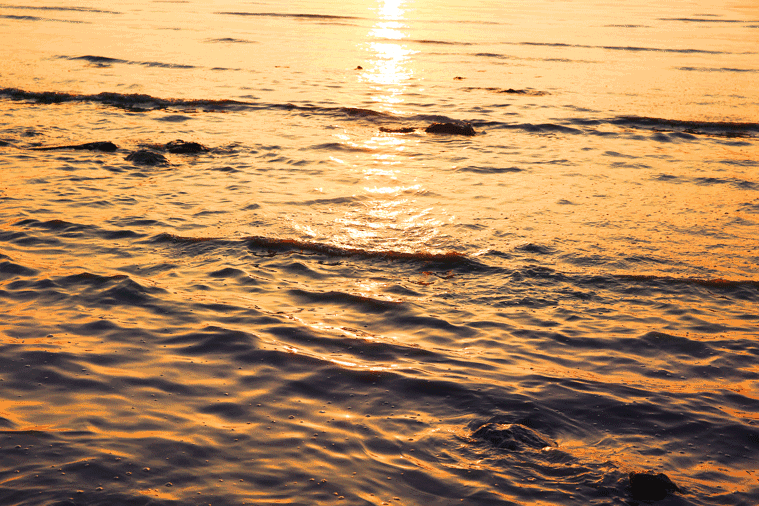 观赏指南最美城市海岸线日落宛如仙境