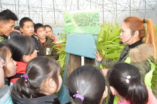 蚊香行业发展现状、市场需求及发展趋势分析