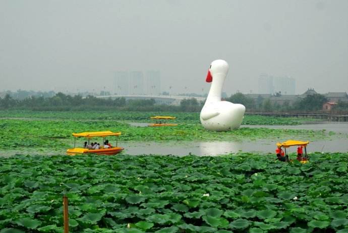 >>2018中国·淮阳龙湖赏荷旅游月活动拉开帷幕-河南旅游手机报