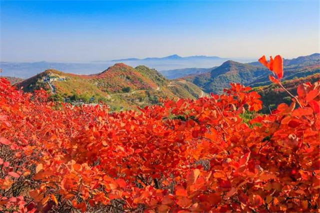 大美嵩县迎客来 美景惊艳你的视觉-河南省文化和旅游