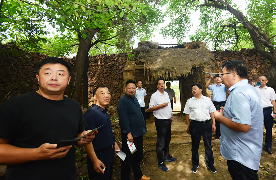 "在宝丰县石桥镇邢庄村的老民居前,河南省文化和旅游厅"民宿发展走进