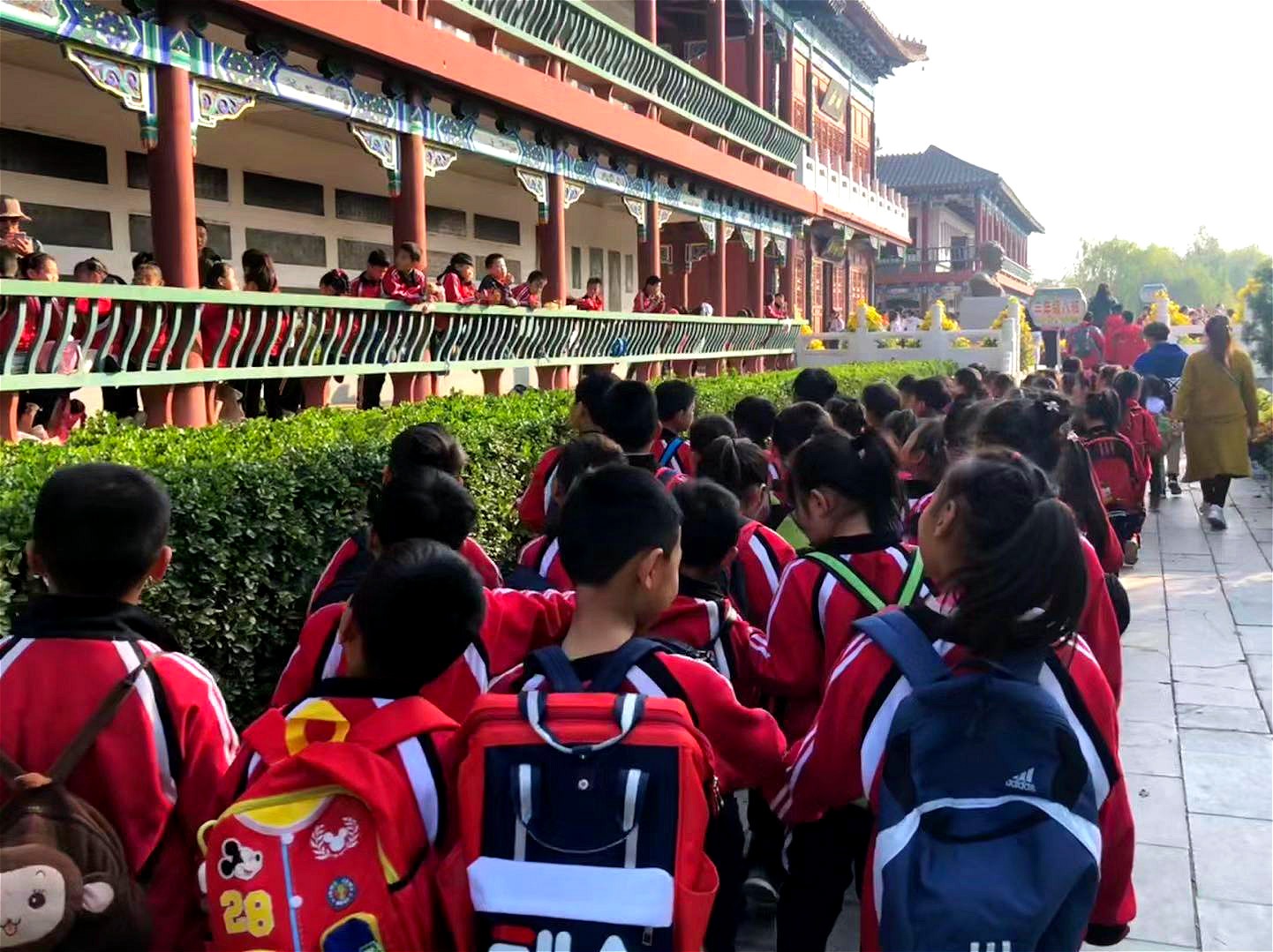 中国翰园迎来8000人研学团队,多项研学活动受青睐